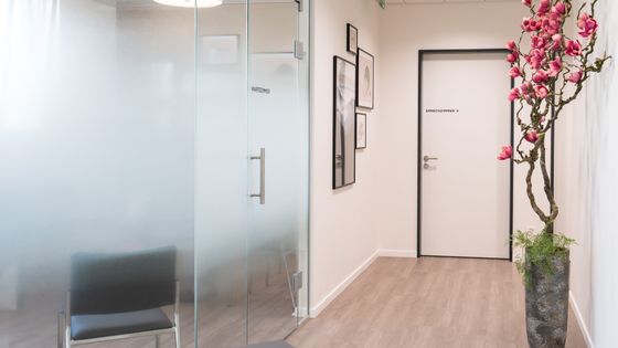 Doktorhuus Praxis Nebikon 2