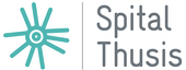 Spital Thusis Logo